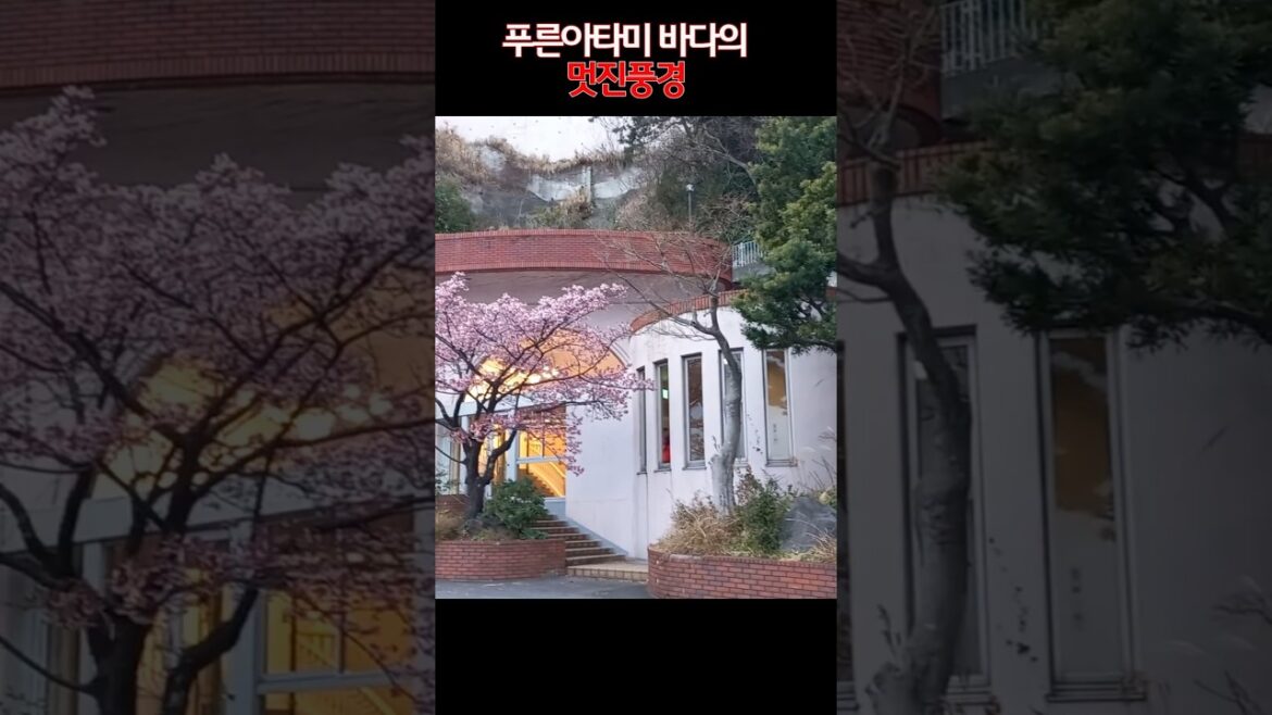 #아타미#뉴아키오호텔#일본여행브이로그 #아침바다#봄#아타미바다