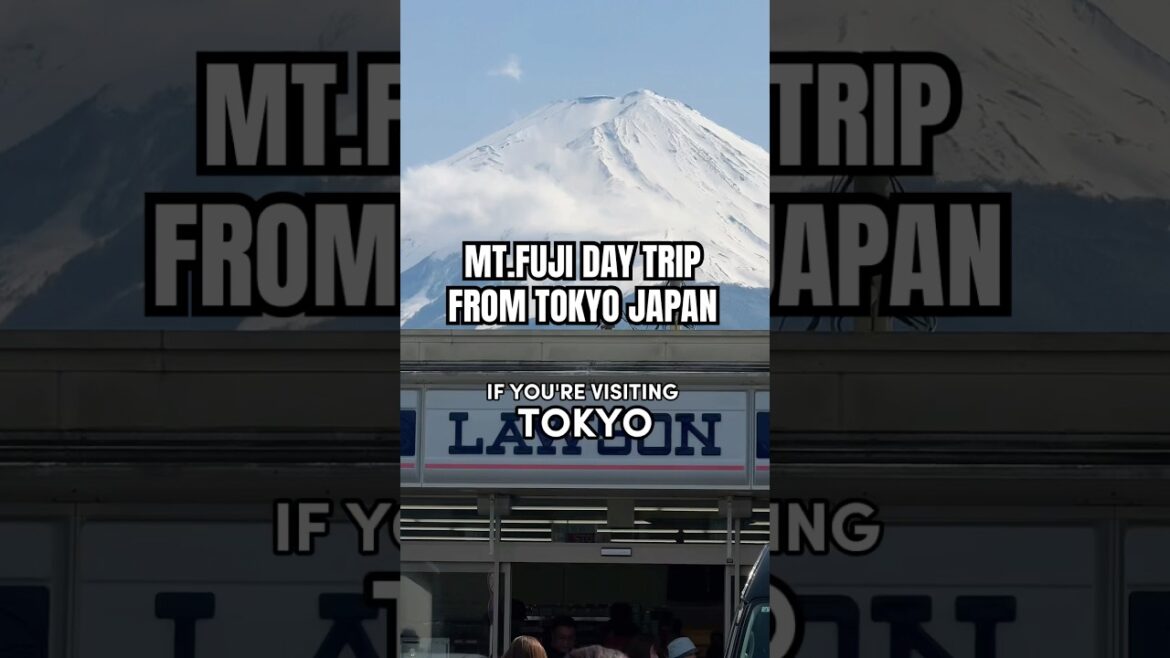 Add this Mt.Fuji day trip from Tokyo to your itinerary! 🗻🇯🇵 #mtfuji #shorts #fuji