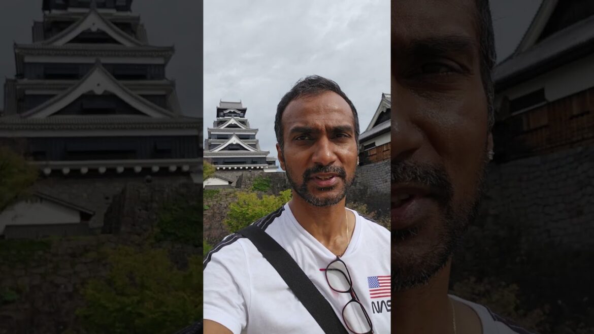 Japon Kumamoto #japanshorts   #japon   #japanesebakery   #viralshorts   #shortsvideo