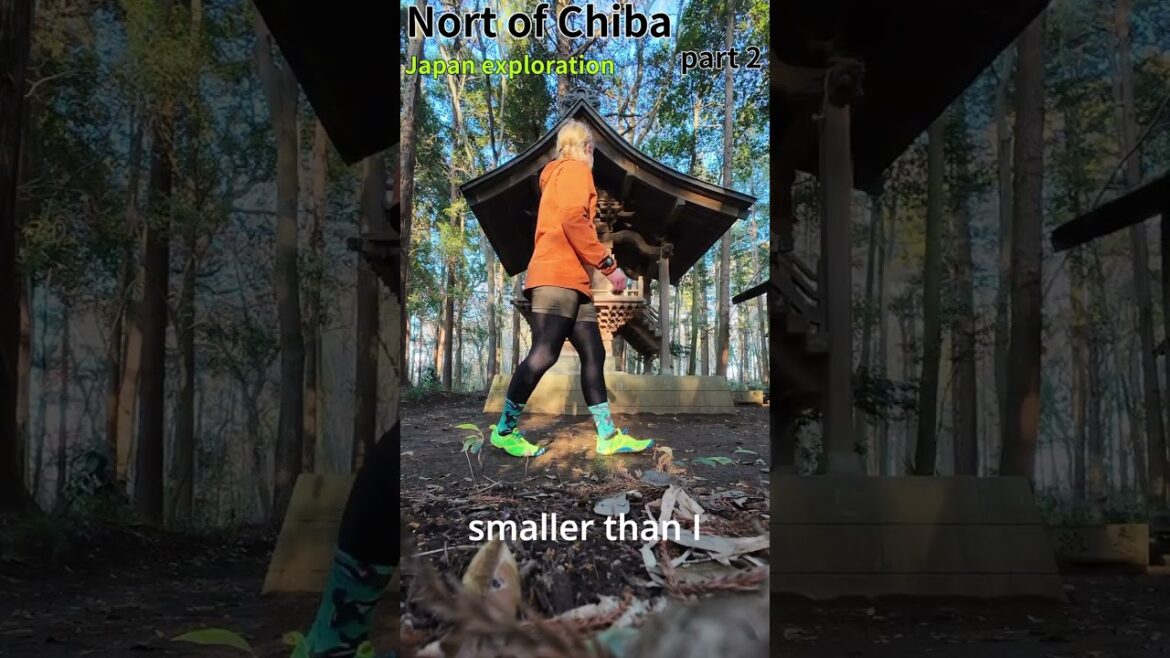 found small shrine in the woods (2/7) #japan #running #chiba