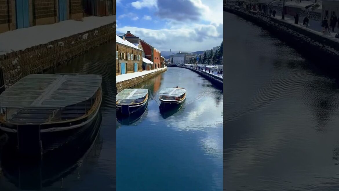 Winter Wonderland | Otaru River Cruise - Japan Hokkaido December 2024