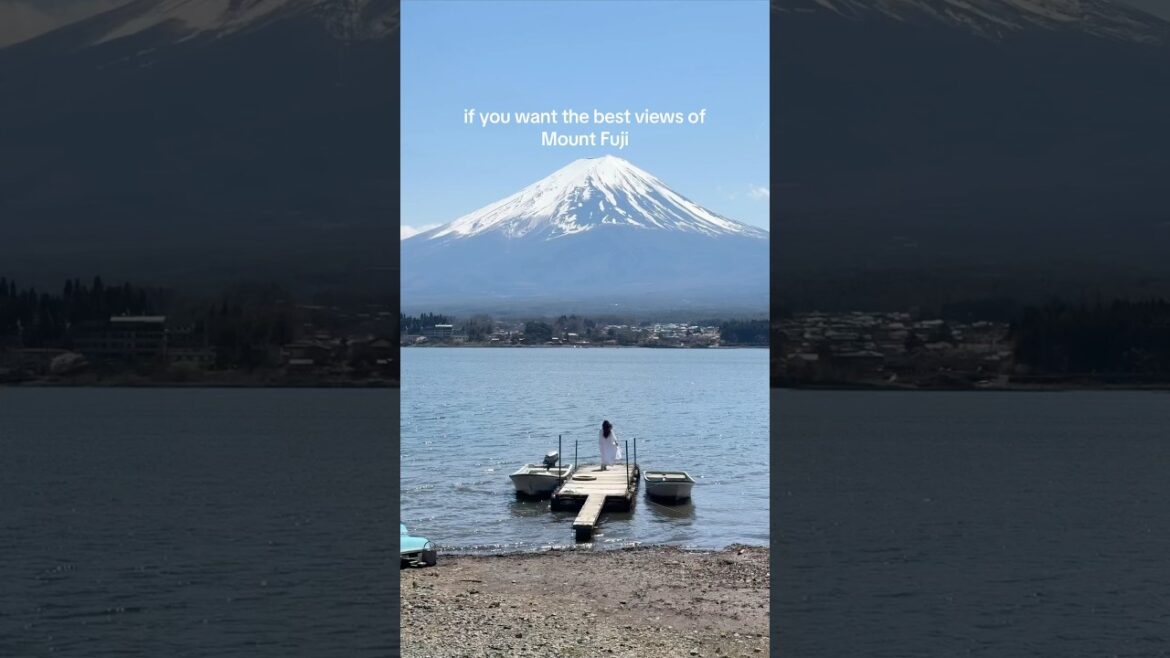 THE BEST VIEW OF MOUNT FUJI 🗻#japan #shorts #mountfuji #mountfujiview