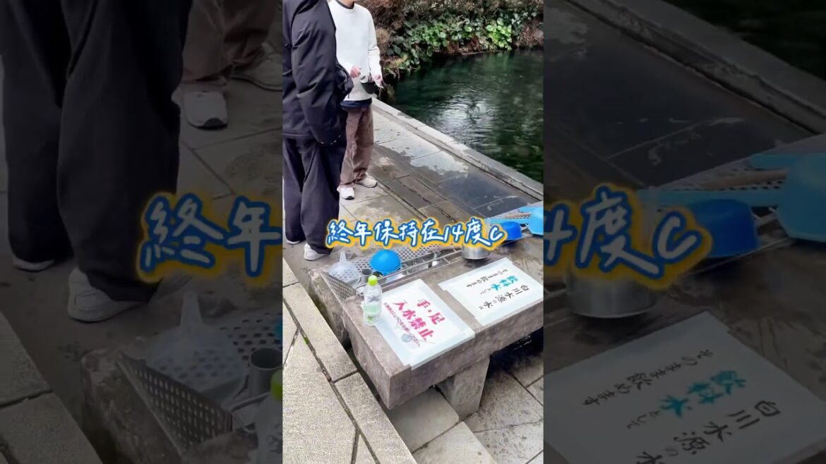 #百川水源💦 一秒進入清涼仙境！熊本這裡藏著一個 超夢幻的天然水源，神奇的天然神水 來熊本一定要存起來💙#旅遊 #日本 #日本景點 #阿蘇 #阿蘇山 #白川水源  #日本秘境 #熊本