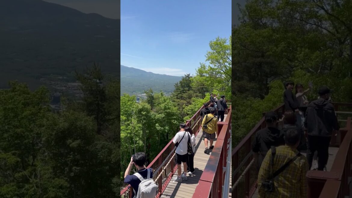 Lake kawaguchi　ropeway top 河口湖 #ropeway