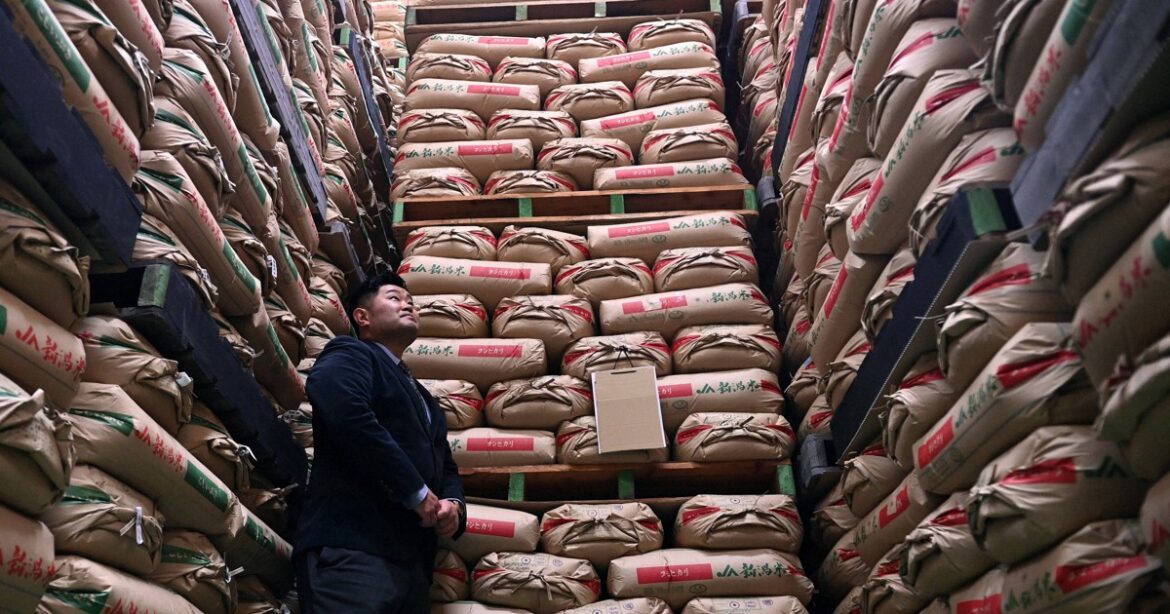 Tokyo rice prices up over 90% in April, marking record on-year rise Tokyo rice prices up over 90% in April, marking record on-year rise