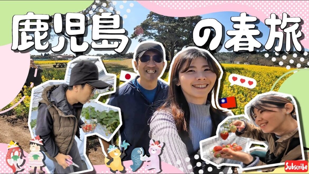 【鹿児島・家族で #春旅 】 #春遊 鹿兒島! #親子 必訪自然系景點:紫藤花、玫瑰園、採草莓🍓一次滿足!|春しか見れない絶景!藤の花・菜の花・いちご狩り:親子で楽しむ旅🌸 【鹿児島・家族で #春旅 】 #春遊 鹿兒島! #親子 必訪自然系景點:紫藤花、玫瑰園、採草莓🍓一次滿足!|春しか見れない絶景!藤の花・菜の花・いちご狩り:親子で楽しむ旅🌸