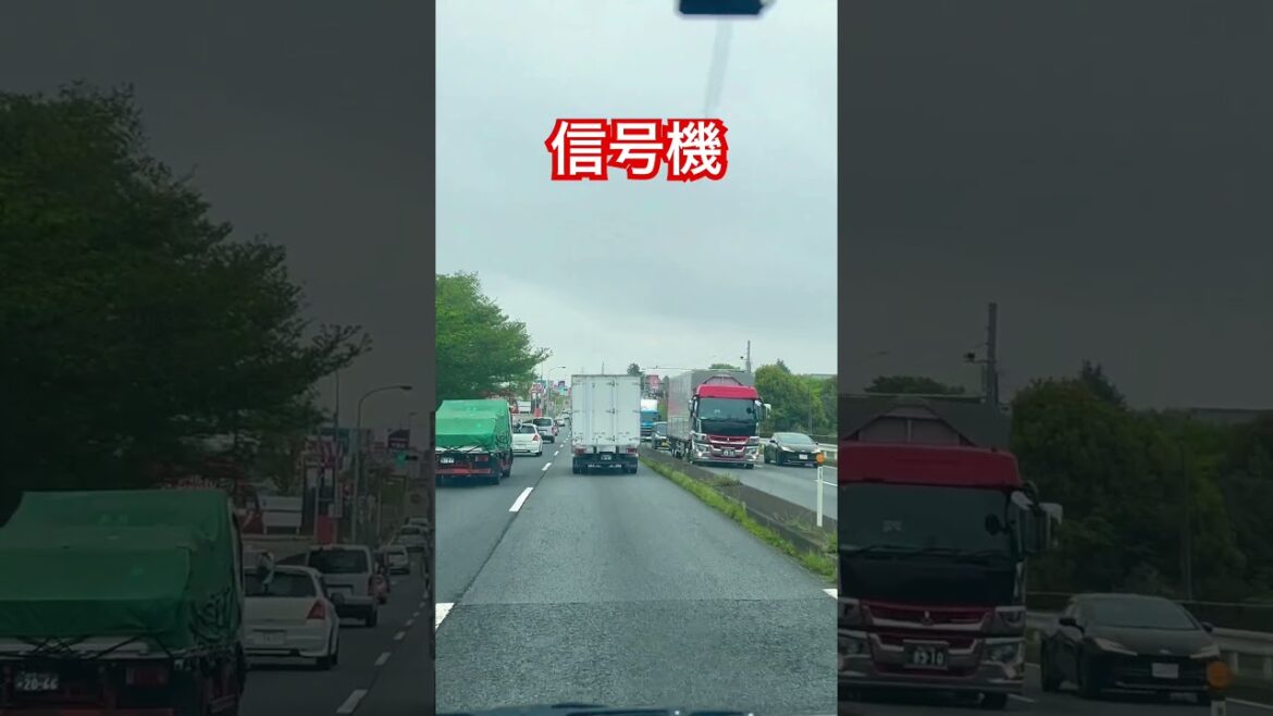 Traffic lights. #viralvideo #traffic #trafficlight #traveling #automobile #travel #japan #chiba