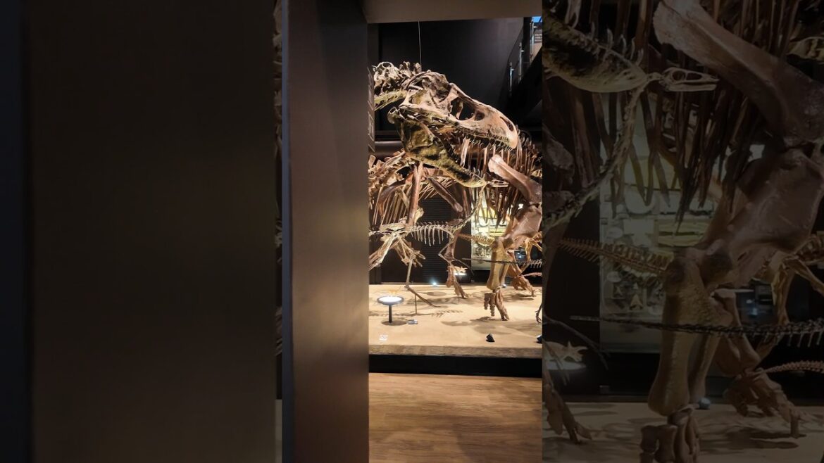 Лучший палеонтологический, в котором я когда-либо была