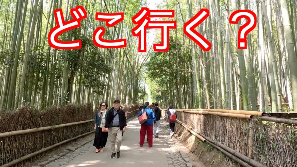 【絶対失敗したくない！京都旅行の必見ポイント】