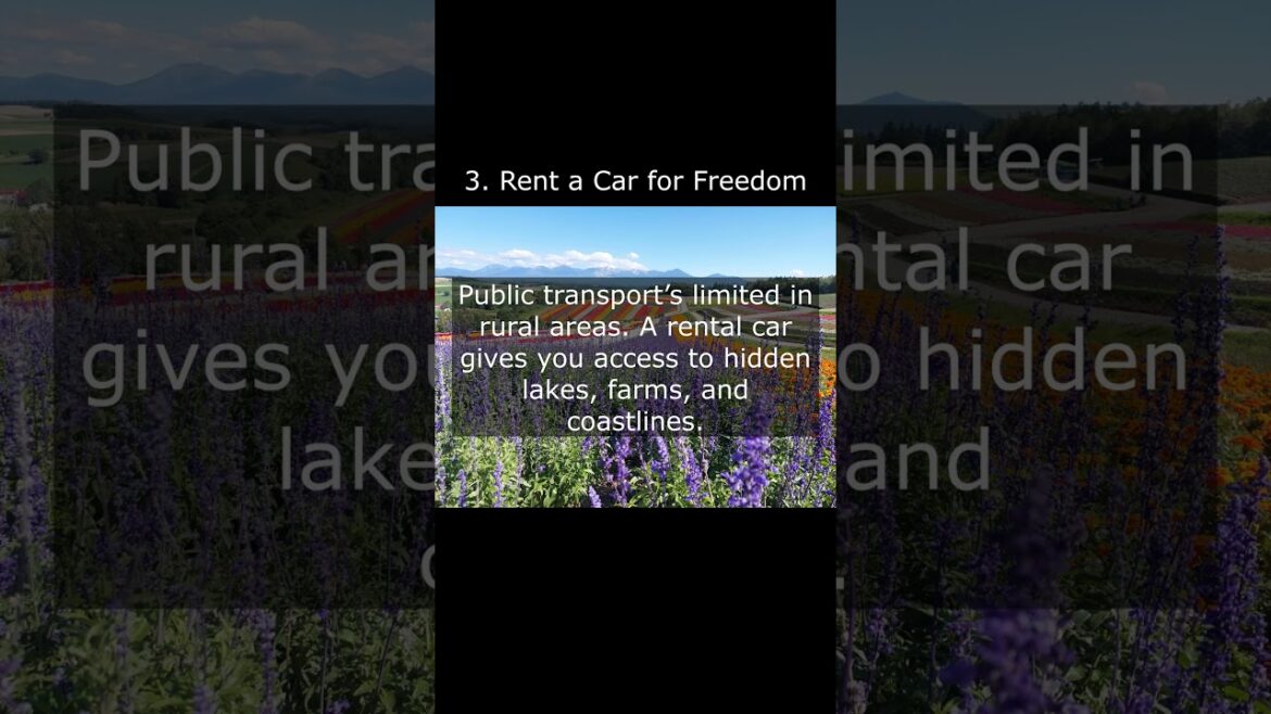 10 Best Hokkaido Summer Travel Tips #japan #shorts #summer #travel #hokkaido 10 Best Hokkaido Summer Travel Tips #japan #shorts #summer #travel #hokkaido