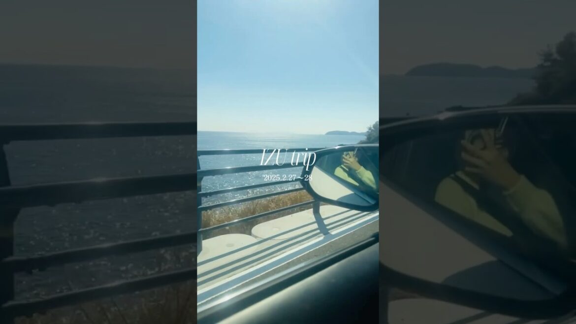 2025年最初の旅行は伊豆半島🌸