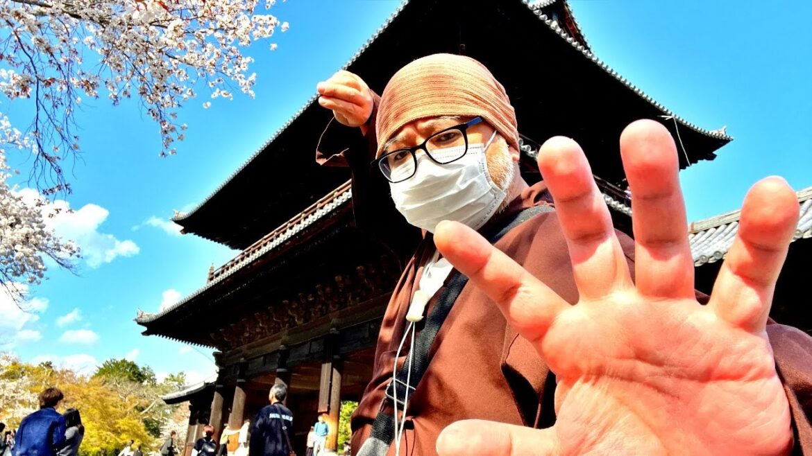 Got Covered in Cherry Blossoms and Tried Kabuki in Kyoto, Japan