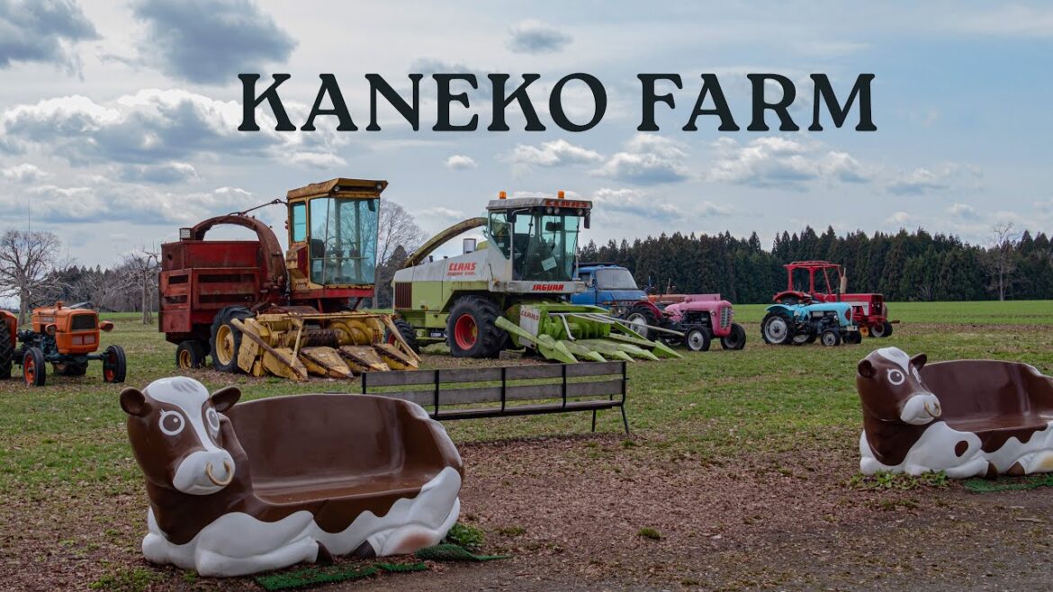 Wagyu Lunch & Farm Tour at Kaneko Farm | Shichinohe, Aomori Wagyu Lunch & Farm Tour at Kaneko Farm | Shichinohe, Aomori