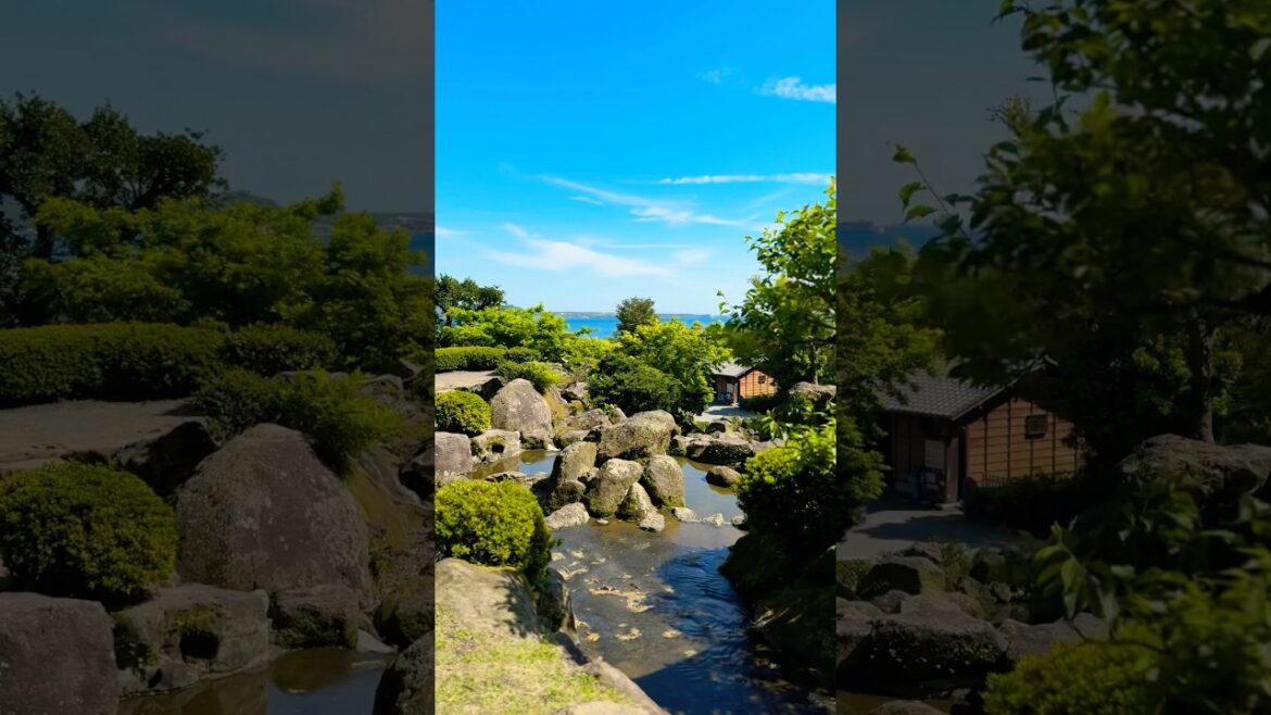 🌿 Moos Farn und uralte Bäume im Senganen Garden Naturidylle in Kagoshima #japanforest