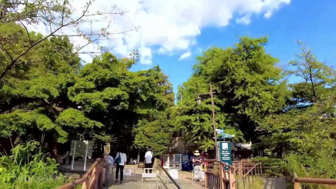 🔴Tokyo Walk 24/7🐶Ikebukuro, Shinjuku, Akihabara, etc. 🔴Tokyo Walk 24/7🐶Ikebukuro, Shinjuku, Akihabara, etc.