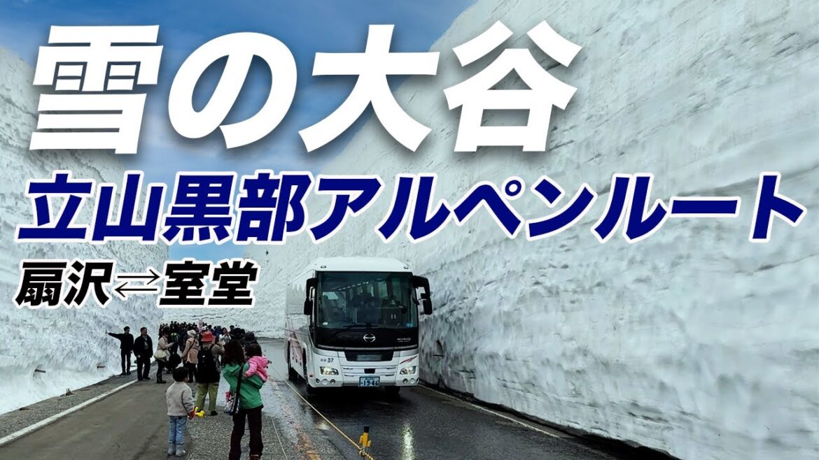 【雪の大谷】立山黒部アルペンルート！一生に一度は見たい北アルプスの絶景！