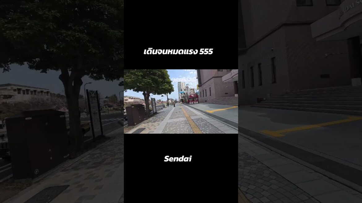 #travel #japan #sendai #sakura