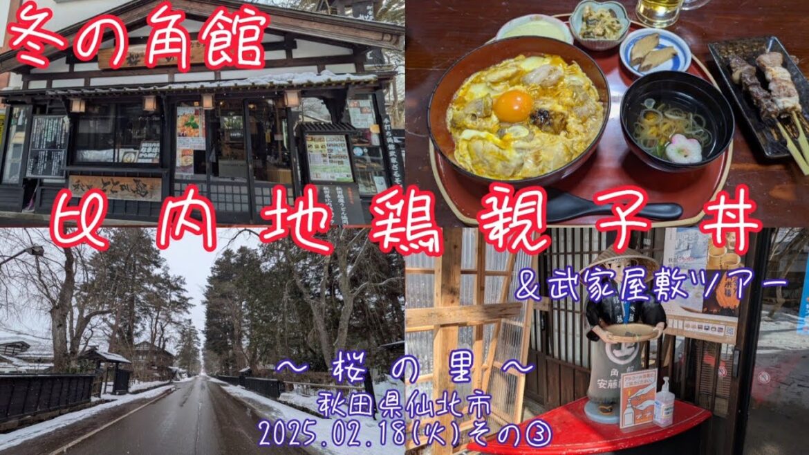 【真冬の角館】比内地鶏親子丼＆武家屋敷ツアー(2025.02.18その③)2泊3日札幌⇔秋田弾丸ツアー