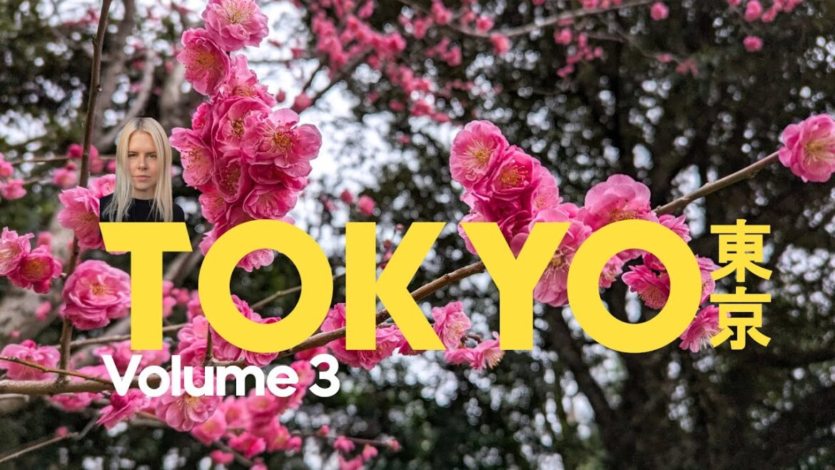 tokyo days | exploring kagurazaka and korakuen | tokyo vlog