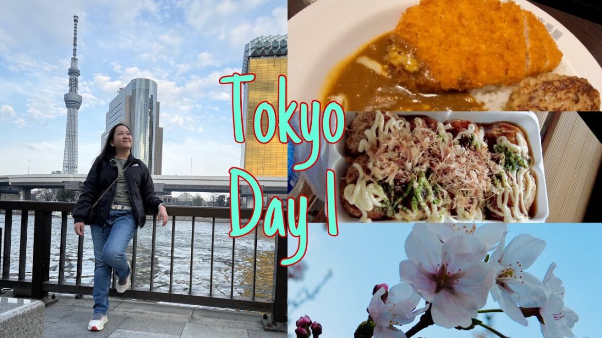 APA Hotel Room Tour, Sakura at Sumida Park, Oldest Takoyaki in Asakusa, and Yokohama at night APA Hotel Room Tour, Sakura at Sumida Park, Oldest Takoyaki in Asakusa, and Yokohama at night