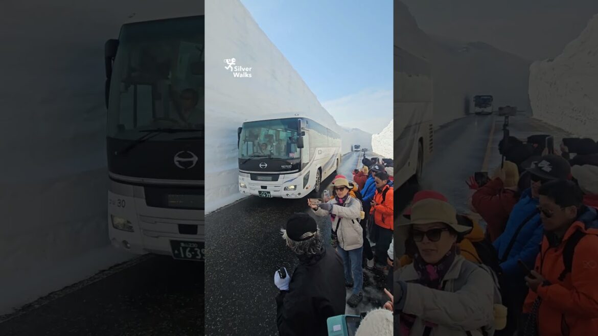 World’s Tallest Snow Corridor in Japan – Tateyama Kurobe Alpine Route | Hidden Travel Gem