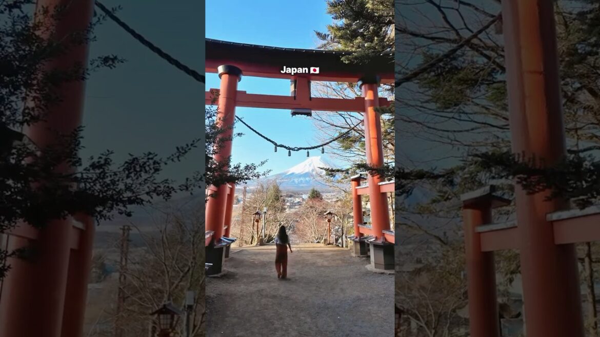 Your sign to travel to Japan #triptojapan  #japan #japantravel