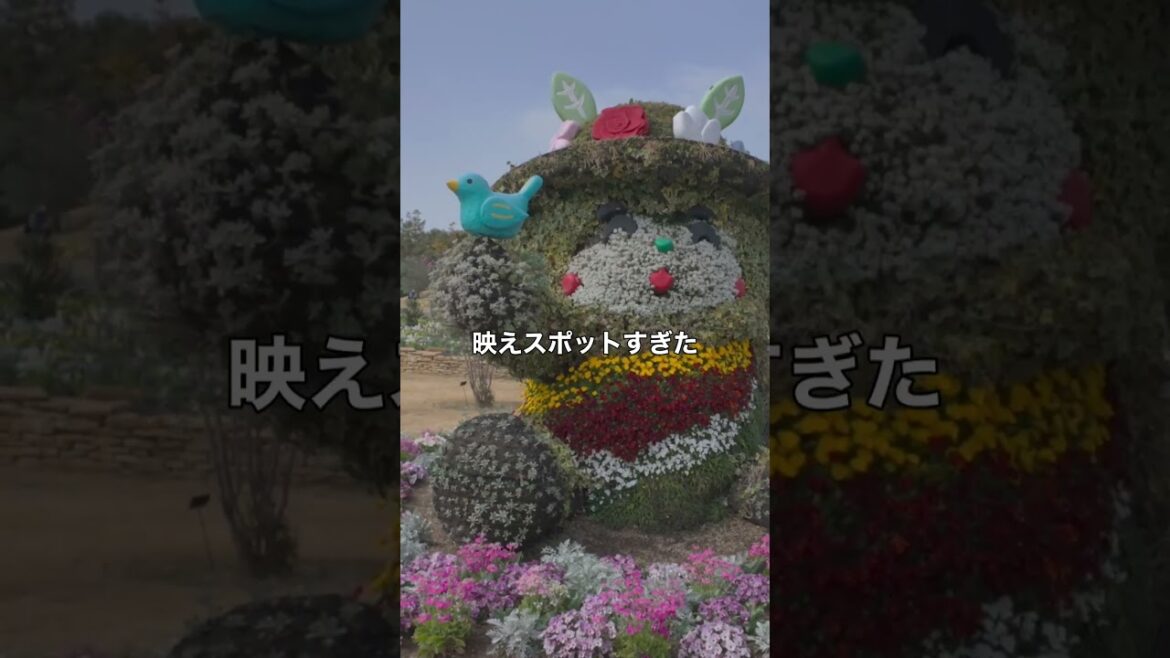 静岡のお花のテーマパークが映えすぎてやばかった！ #静岡観光 #旅行 #japan