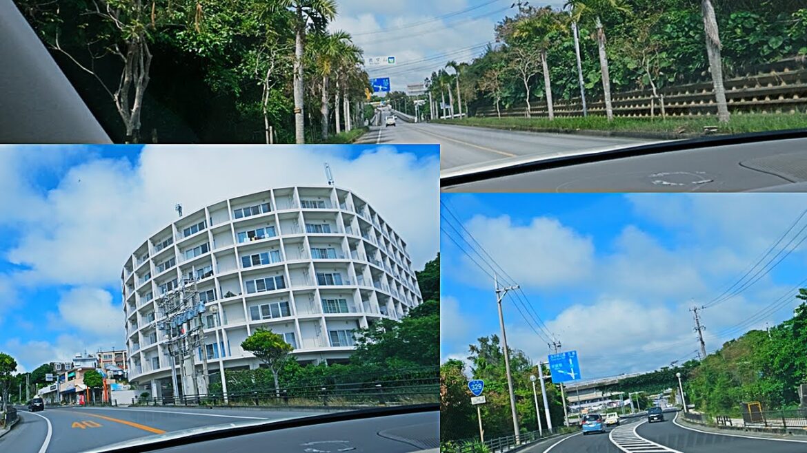 Discover Okinawa An Unforgettable Coastal Drive Adventure