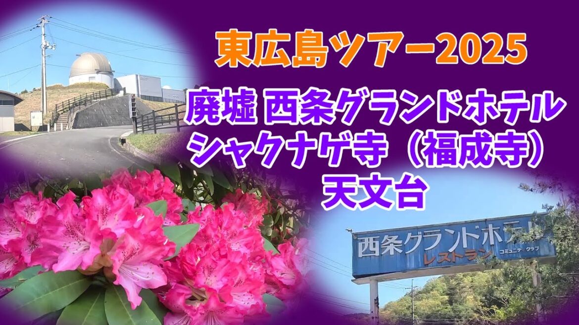 【2025東広島ツアー】廃墟の西条グランドホテル→伴天連→星ふるFARM→福成寺(シャクナゲ寺)→東広島天文台(広島大学)標高500メートル 4/24シャクナゲが見頃 #廃墟 #ツーリング #ドライブ 【2025東広島ツアー】廃墟の西条グランドホテル→伴天連→星ふるFARM→福成寺(シャクナゲ寺)→東広島天文台(広島大学)標高500メートル 4/24シャクナゲが見頃 #廃墟 #ツーリング #ドライブ