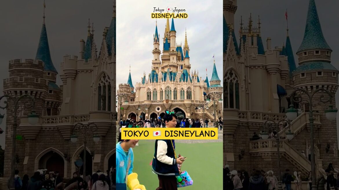 TOKYO DISNEYLAND BE LIKE… | TOKYO 🇯🇵 JAPAN