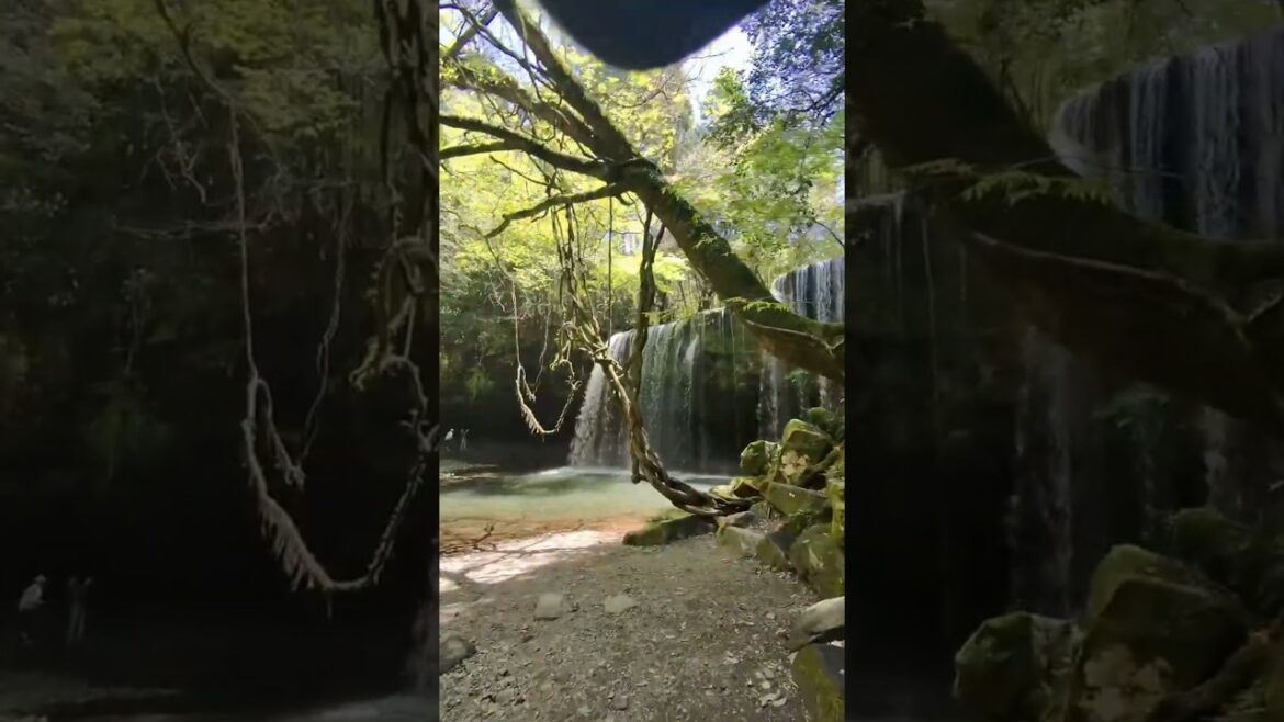 Connecting Kumamoto to Hita: The Scenic Route via Aso's Peaks & Hidden Falls