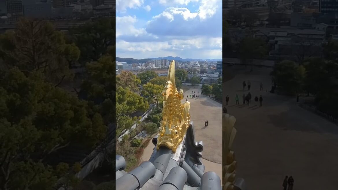 Stroll around Okayama Castle #travel #japan #okayamacastle #okayama