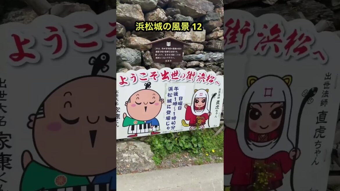 浜松城の景色 12 🏯 #浜松城 #hamamatsucastle #旅行 #日本 #japan #ニュース #歴史