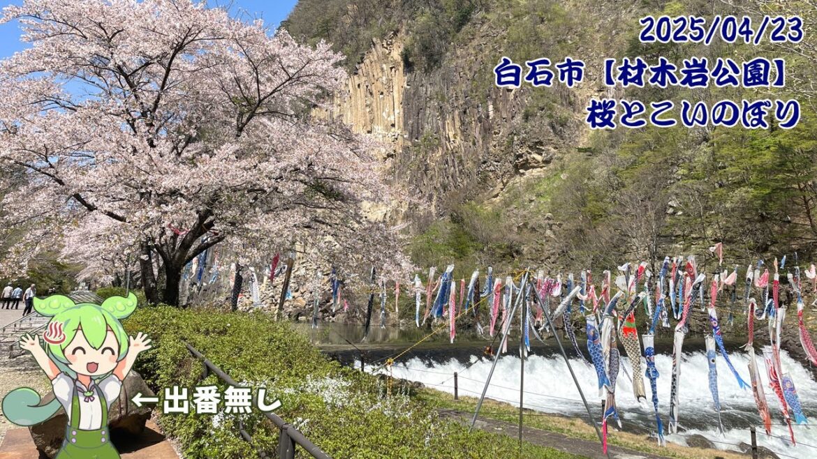 材木岩公園の桜とこいのぼり(2025/04/22撮影) 材木岩公園の桜とこいのぼり(2025/04/22撮影)