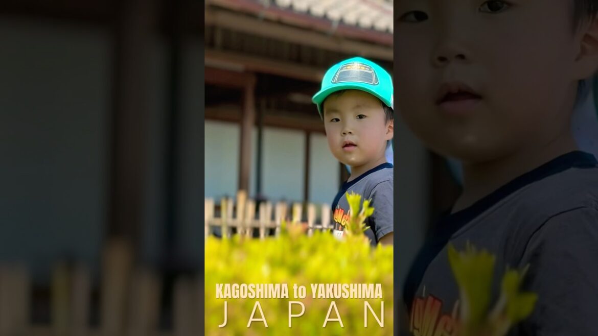 🍣 Kagoshima Japan voll Geschmack unglaublicher Parks & People die  Herz explodieren lassen #Japan