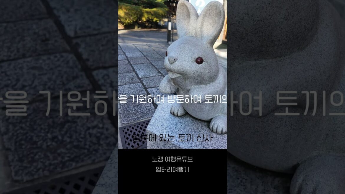 ★일본의 토끼를 모시는 토끼신사 #travel #japan #일본여행 #교토맛집 #토끼신사 #오카자키신사 #오카자키 ★일본의 토끼를 모시는 토끼신사 #travel #japan #일본여행 #교토맛집 #토끼신사 #오카자키신사 #오카자키