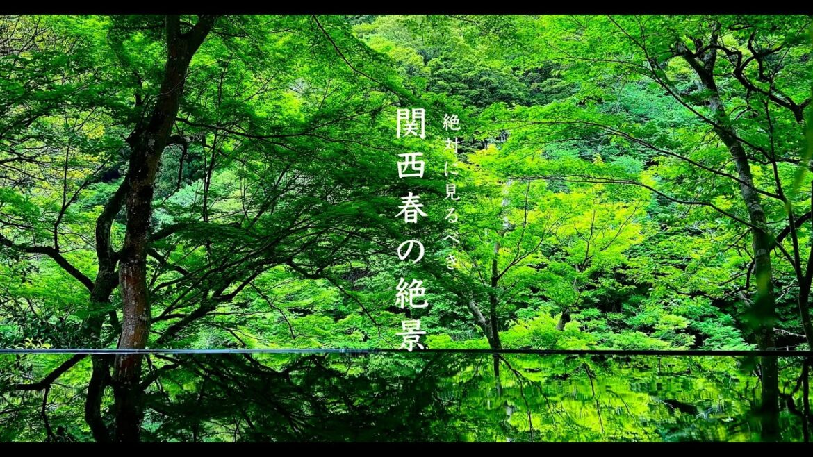 【絶景ランキング】絶対に見るべき「関西春の絶景10選」穴場あり 【絶景ランキング】絶対に見るべき「関西春の絶景10選」穴場あり