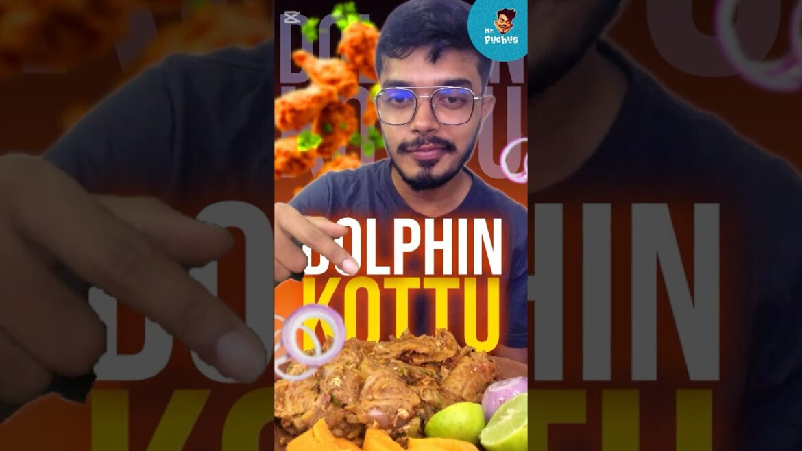 Street food dolphin kottu #food #recipe #foodie #streetfood #cooking #kottu #asmr #shortvideo Street food dolphin kottu #food #recipe #foodie #streetfood #cooking #kottu #asmr #shortvideo