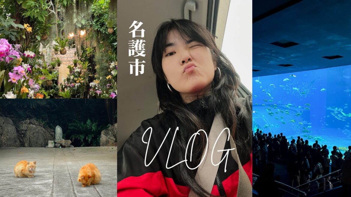 A weekend in Nago 名護市 vlog 🌊 sightseeing, shops, aquarium, garden | Japan travel