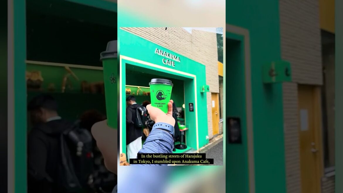 A bear served me Coffee?? Only in Japan!! π»π #travel #tokyo #japan #coffee A bear served me Coffee?? Only in Japan!! π»π #travel #tokyo #japan #coffee