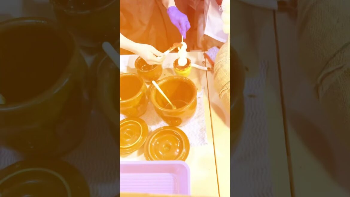 Japanese Street Food Dango