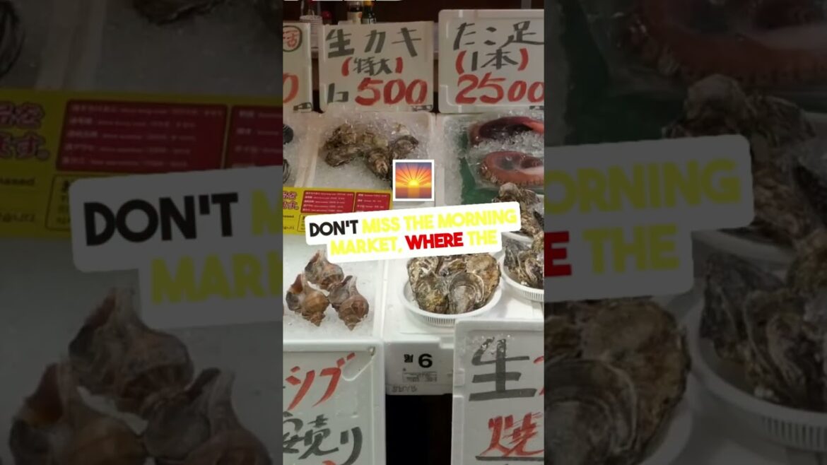 places in japan that don't feel real part 5|| Hokkaido