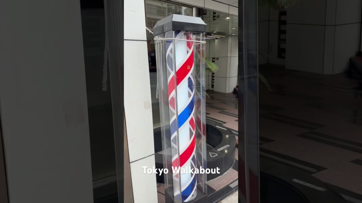 Tokyo walkabout #japanesecity #japanbakery #tokyowalk