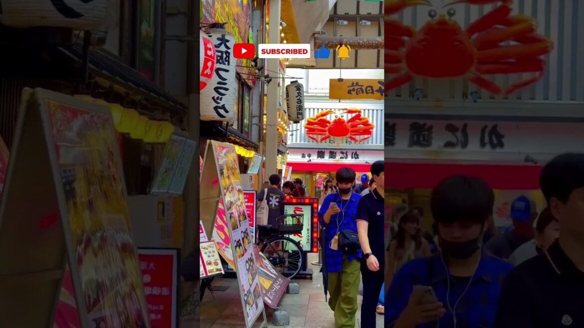 Dotonbori District Sunset & Night Life City Walking Tour Osaka   in  Japan !!