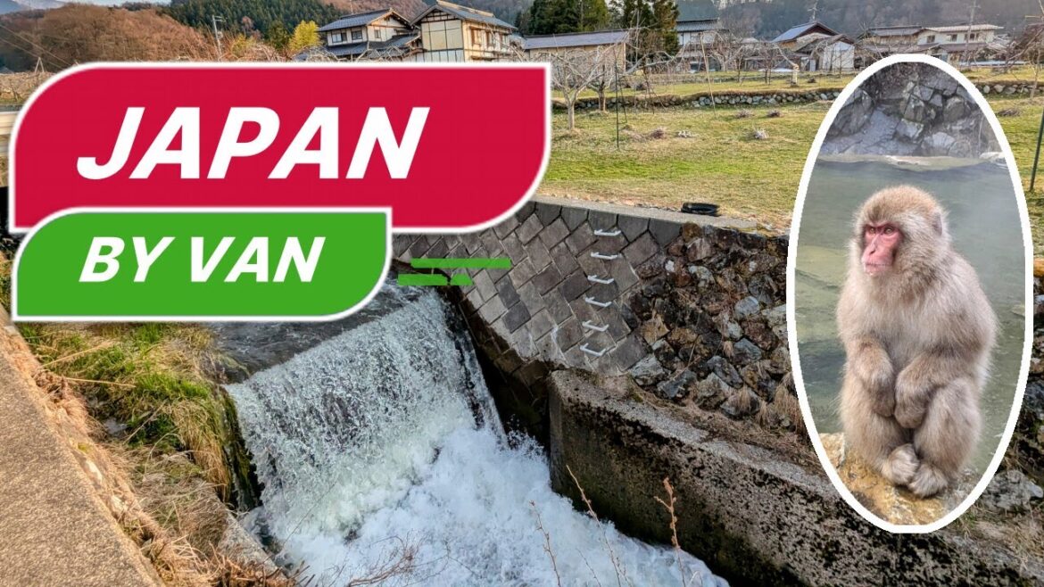 Japan in a Van: Snow Monkeys, Spring Flowers, and Snowstorms