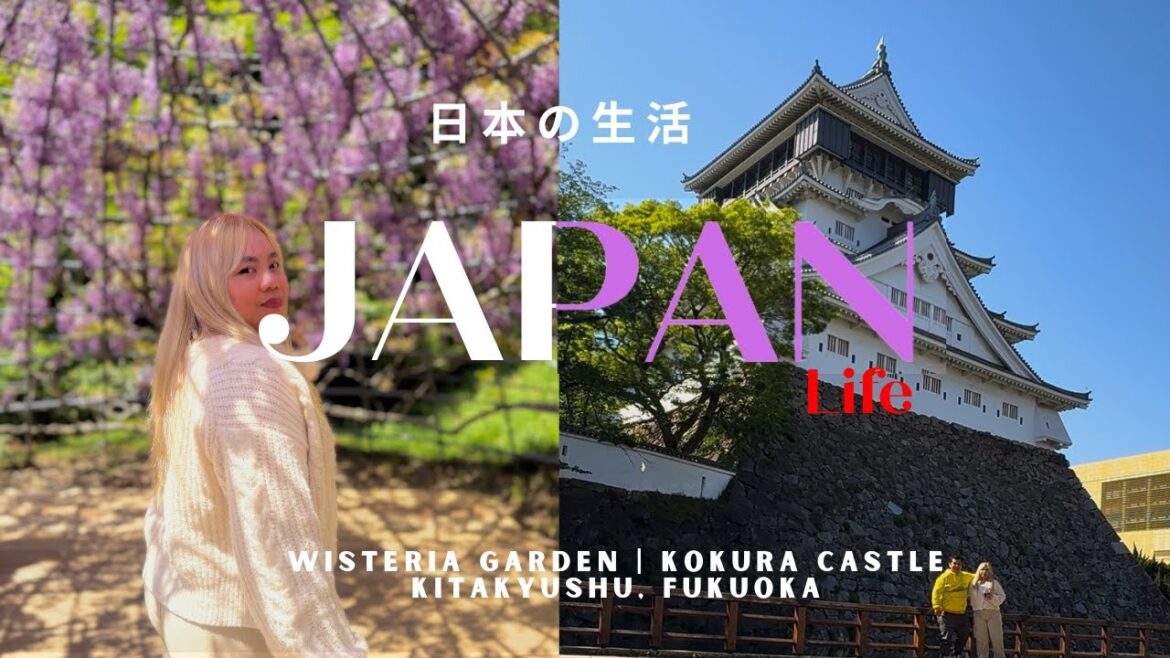 Unreal Beauty! 🪻🌸  Japan’s Wisteria Tunnels + Castle Experience! 🇯🇵 Fukuoka Japan