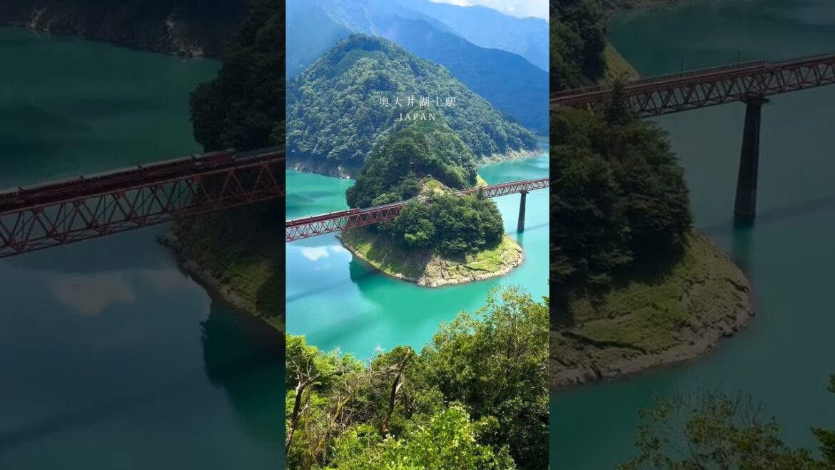 Okuõikojō Station~ the loneliest, but loveliest, trainstation in Japan Okuõikojō Station~ the loneliest, but loveliest, trainstation in Japan