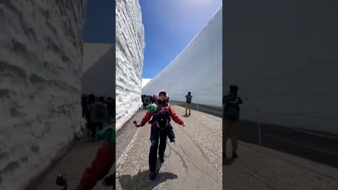 立山黒部アルペンルート～Takeyama Kurobe Alpine Route ～立山黑部2025