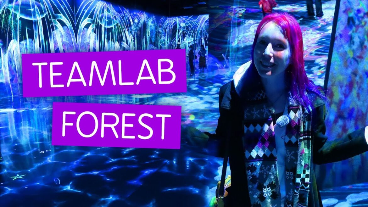 We had the place to ourselves! ✨ TeamLab Forest ✨ Fukuoka, Japan We had the place to ourselves! ✨ TeamLab Forest ✨ Fukuoka, Japan