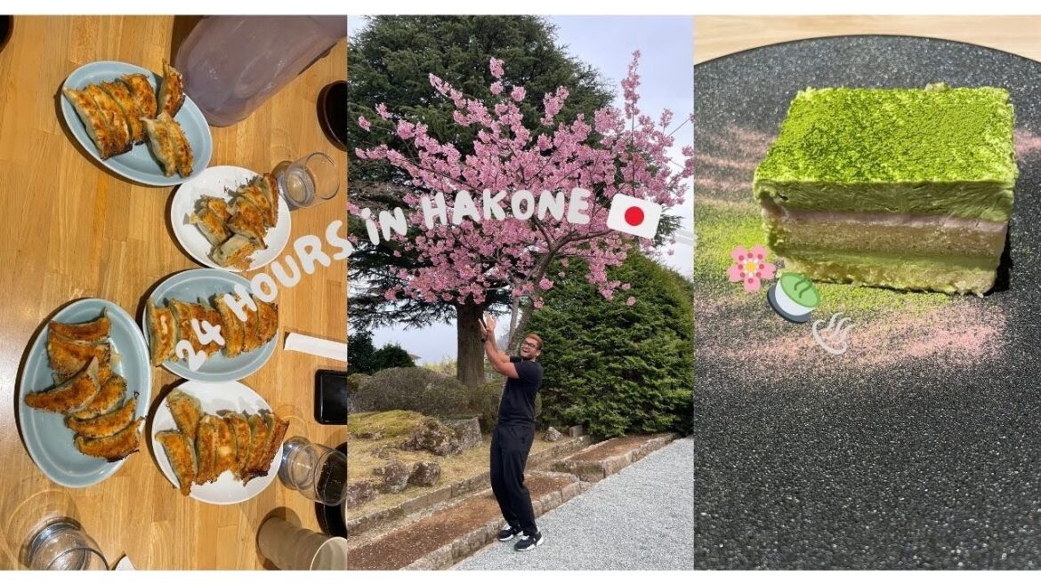 🌸 24 Hours in HAKONE: Onsen, Cherry Blossoms & Matcha Cheesecake!